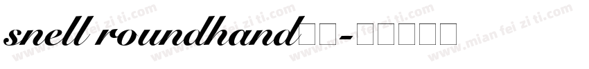 snell roundhand社团字体转换